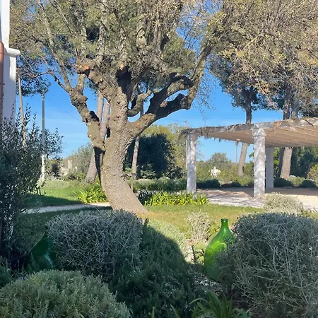 Trullo Sovrano Exclusive B&B-3